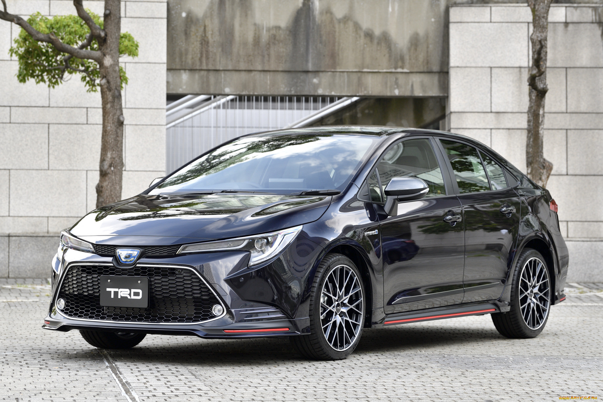 ����������, toyota